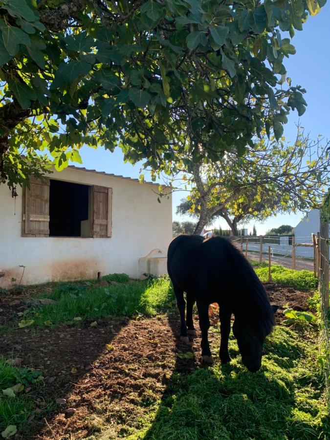 Herdade Da Maridona - Agroturismo Estremoz Exterior foto